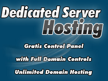 Budget dedicated servers hosting provider